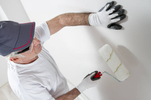 Best Mold Removal for HVAC Installations  in Watertown, FL