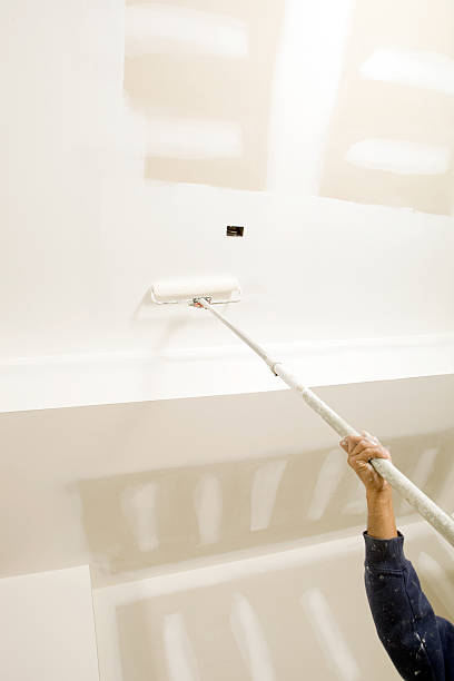 Best Mold Odor Removal Services  in Watertown, FL